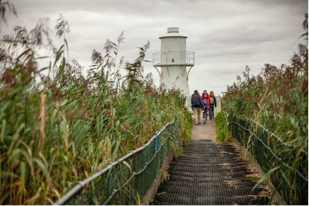 Newport Wetlands National Nature Reserve
