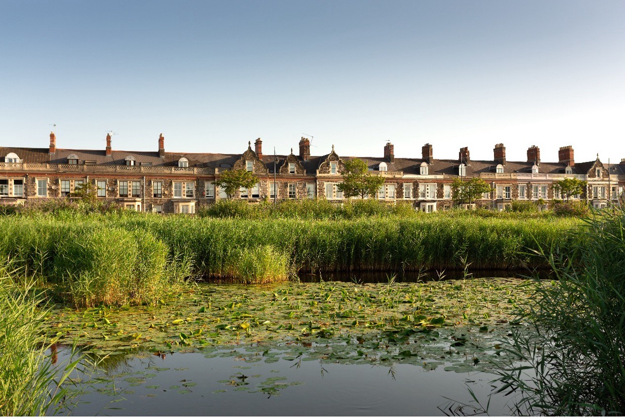 Water in a pond and houses