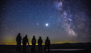 Five people looking up at the night sky which is full of stars