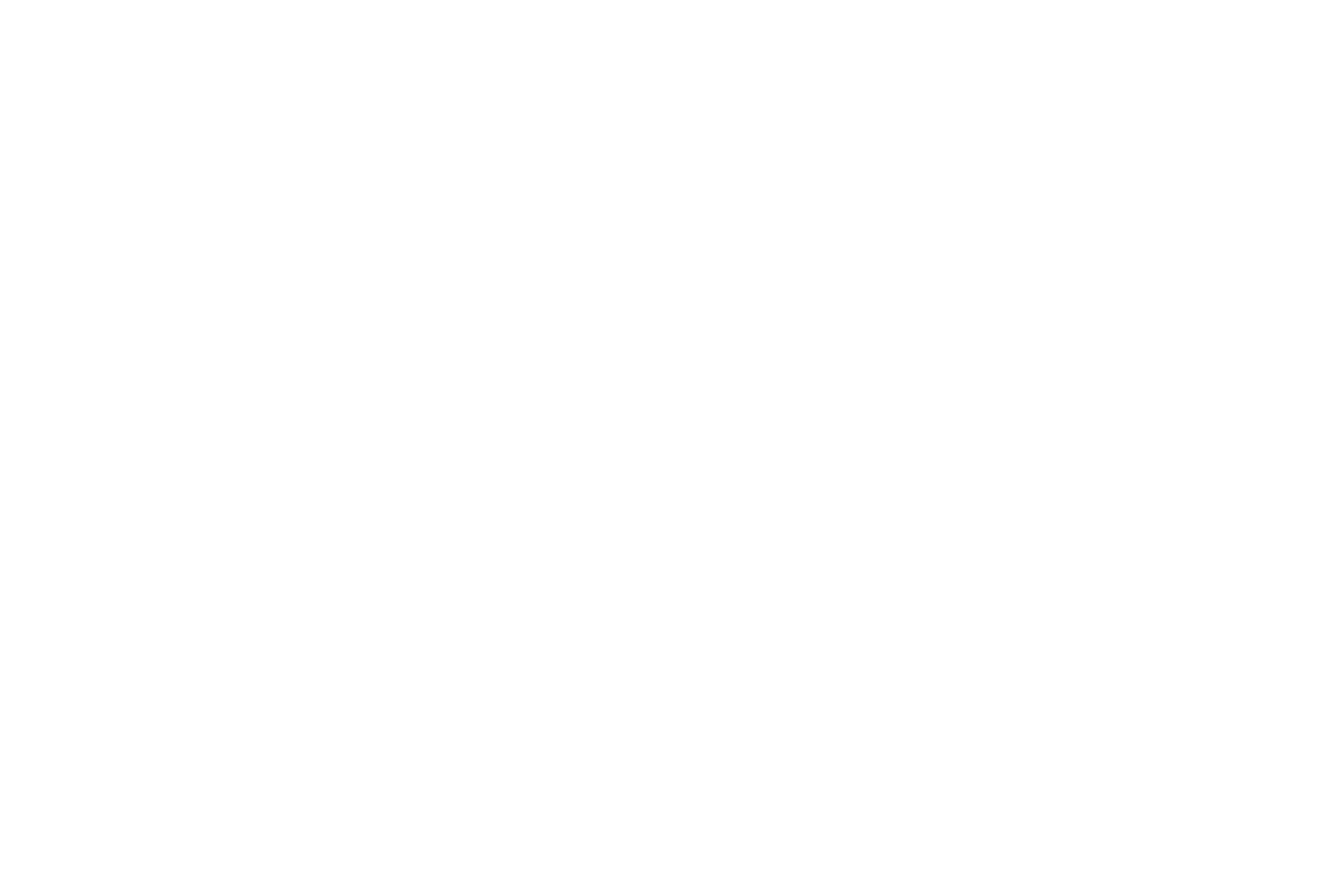 Nest & Living uusi logo