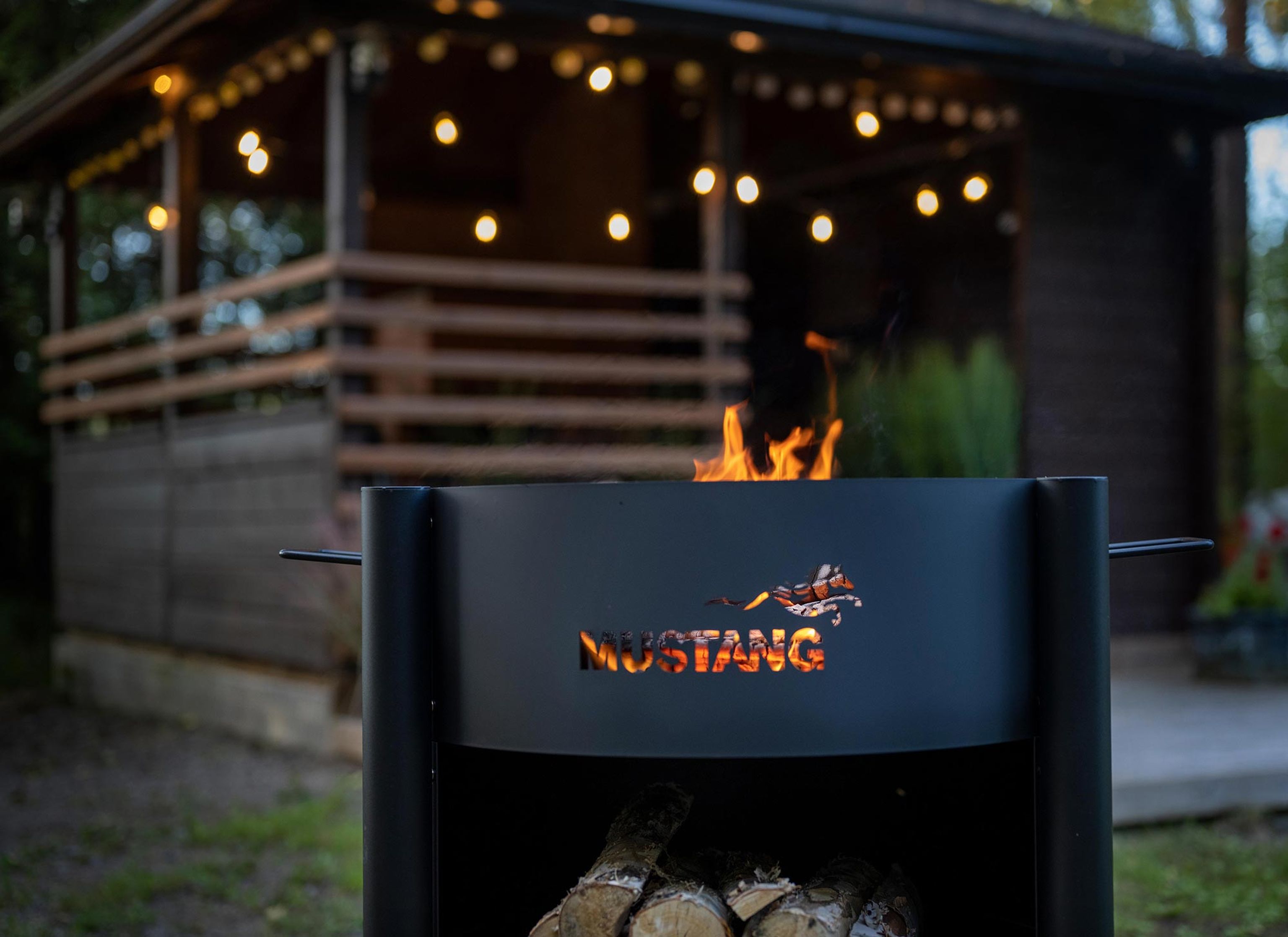 grillaus kuuluu kesään