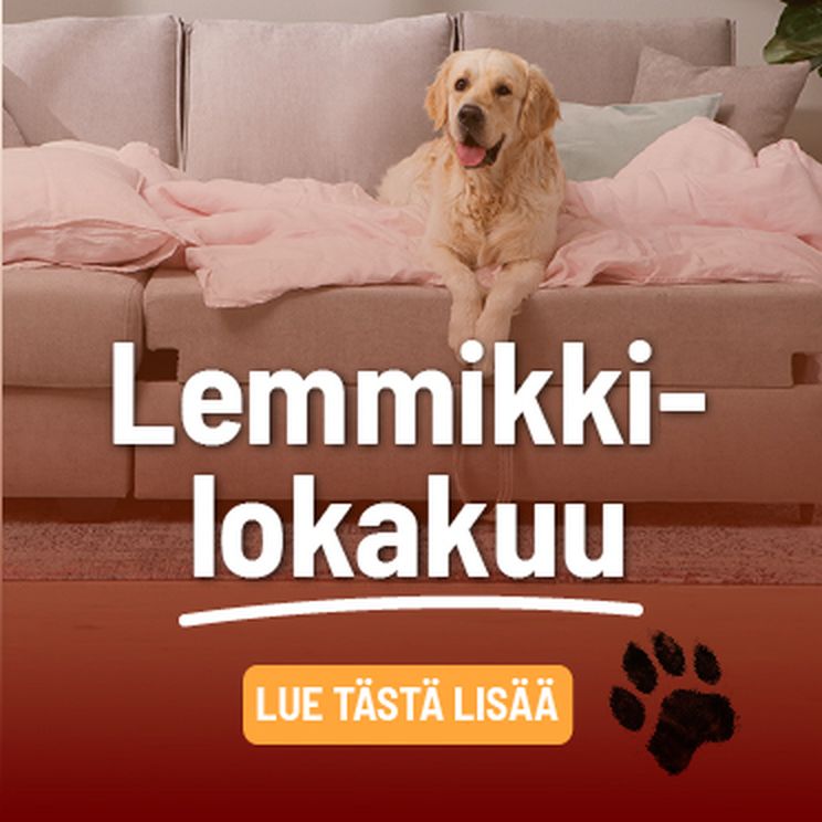 lemmikki lokakuu