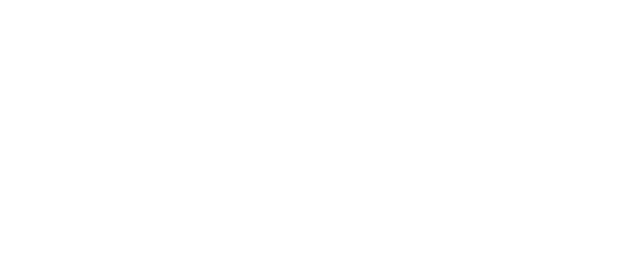 IMG Norway brändin logo