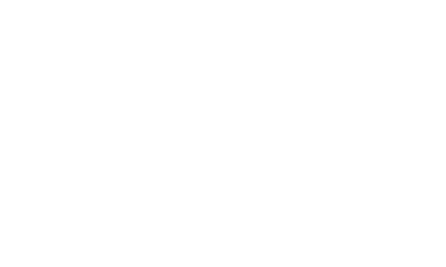 Wonderland brändin logo