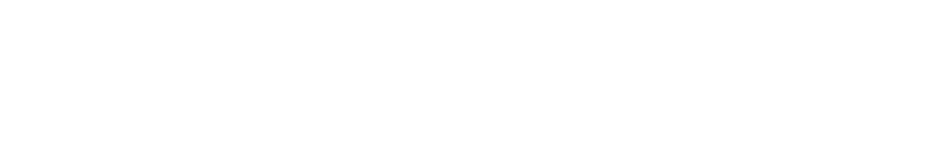 Elensen brändin logo