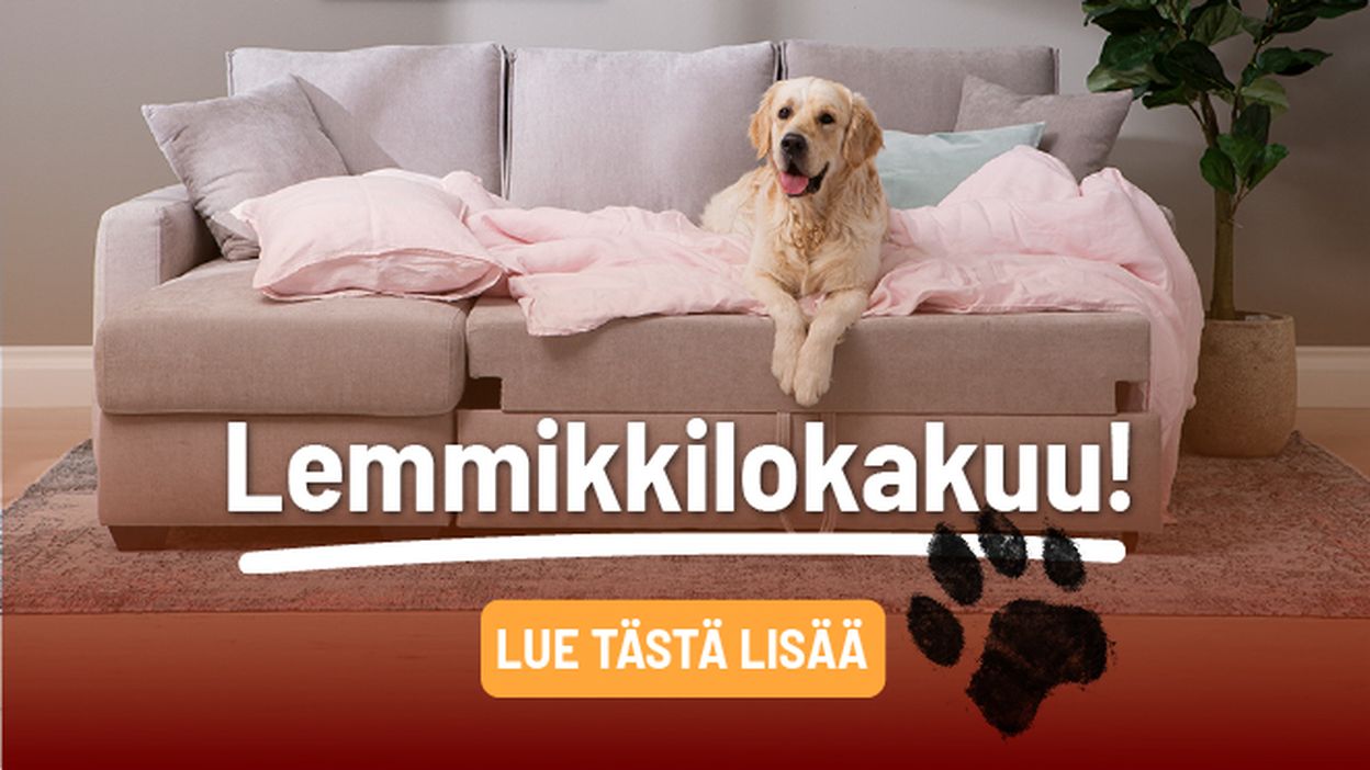lemmikki lokakuu