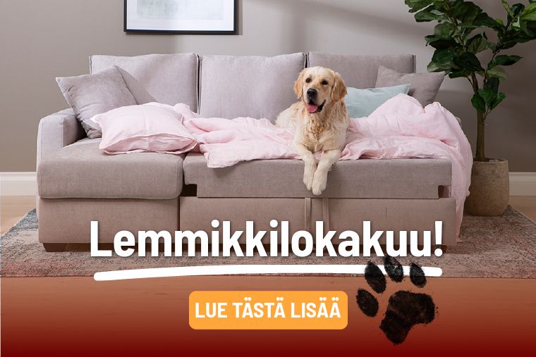 lemmikki lokakuu