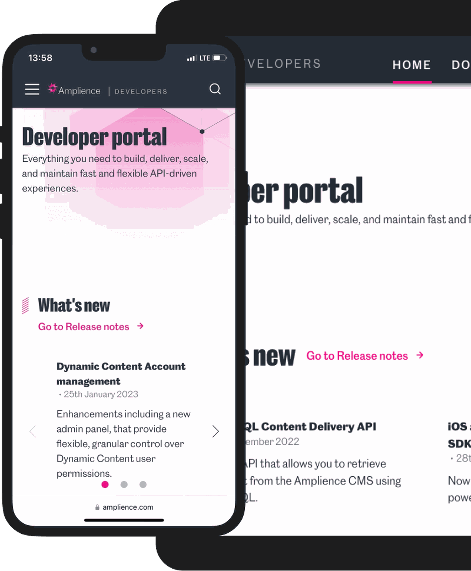 Building a new developers portal for Amplience - CMS provider