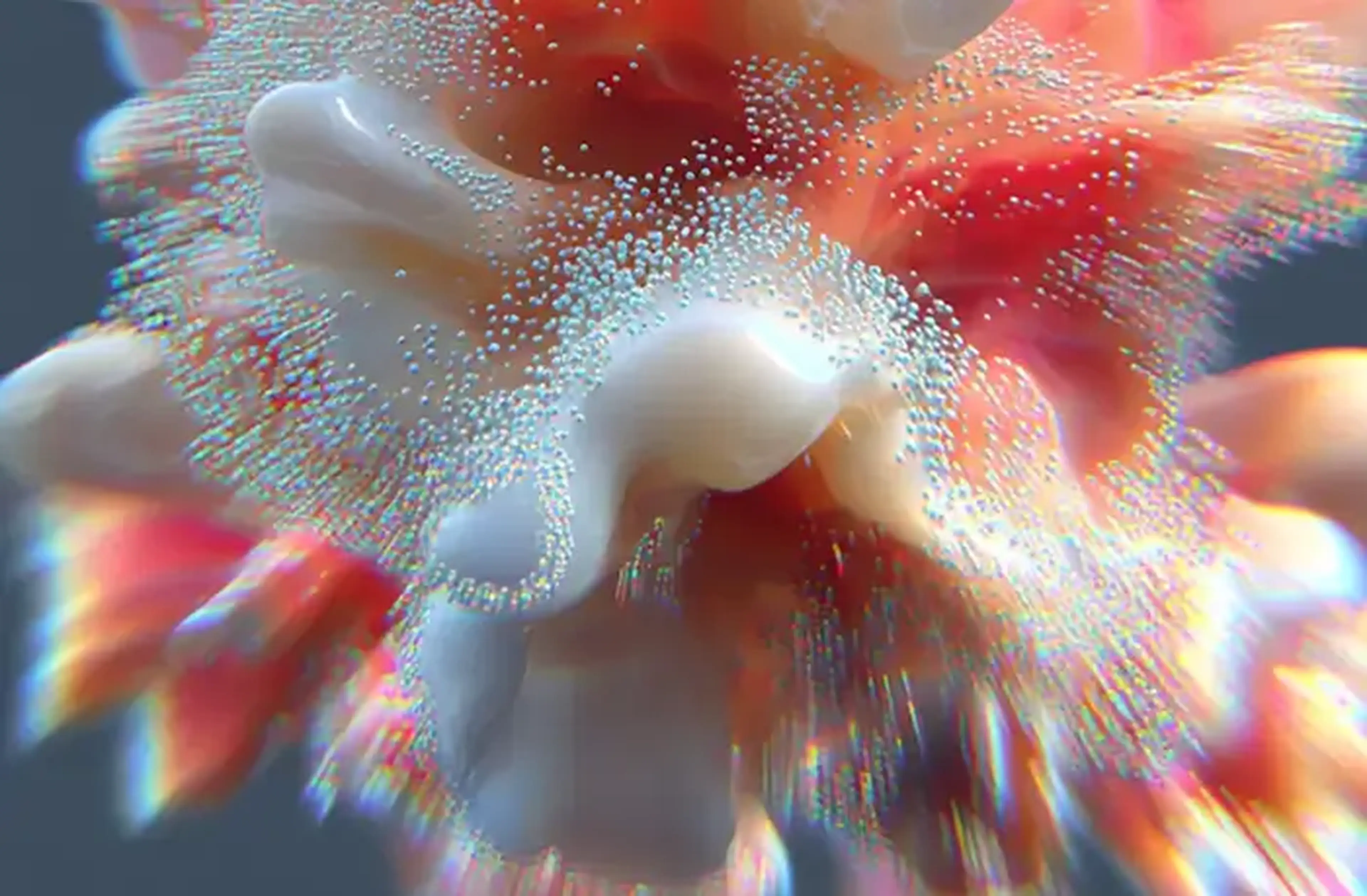 What is the difference between WordPress and WooCommerce