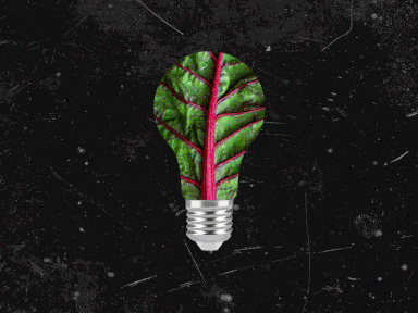 Verschiedene Lebensmittel blitzen in Form einer Glühbirne durch das Schwarz.