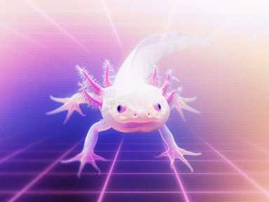 Ein Axolotl in einem futuristischen Lasergrid.