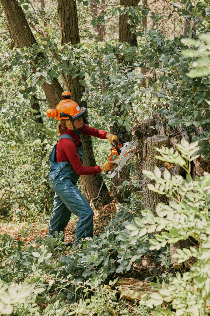 Frau mit Schutzkleidung und Helm die eine Motorsäge in der Hand hält und einen Baum beschneidet