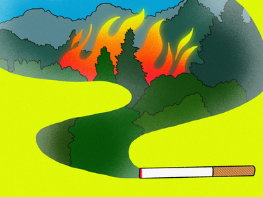 Eine Illustration einer Zigarette, in deren Rauch man einen brennenden Wald sieht.