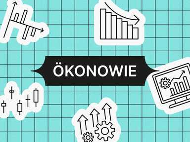 Illustration mit Graphen, Zahnrädern und einer Glühbirne auf einem Gitterhintergrund. Der zentrale Text lautet „ÖKONOWIE“ in fetten Buchstaben.