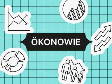 Illustration mit Graphen, Zahnrädern und einer Glühbirne auf einem Gitterhintergrund. Der zentrale Text lautet „ÖKONOWIE“ in fetten Buchstaben.