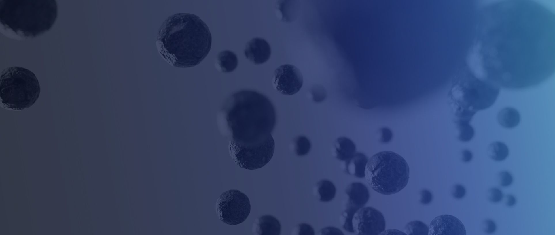 Headerbild Verlauf PBF