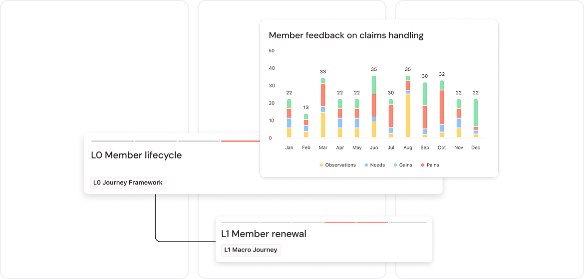 Chart of member feedback on claims from January to December, showing observations, needs, gains, and pains. Labels: L0 Member lifecycle, L1 Member renewal.