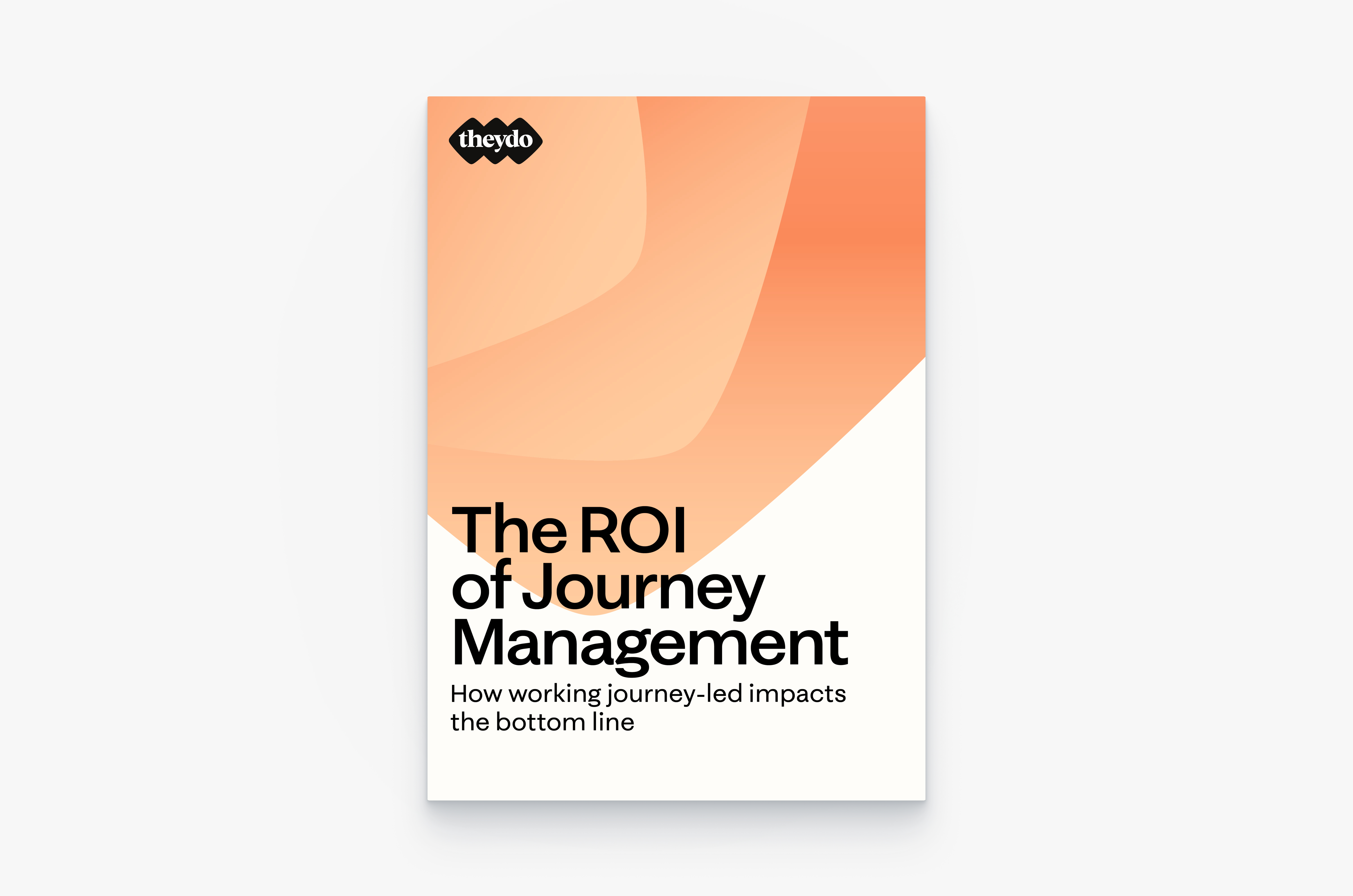 Roi Report for web