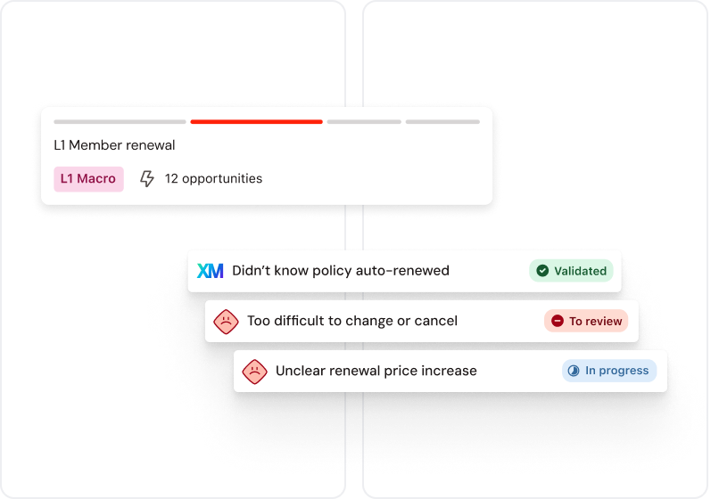 Flowchart depicts "L1 Member renewal" with issues: auto-renewal, difficulty in change/cancel, and unclear price increase, each with status labels.