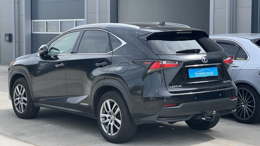 Tint Service Friesland