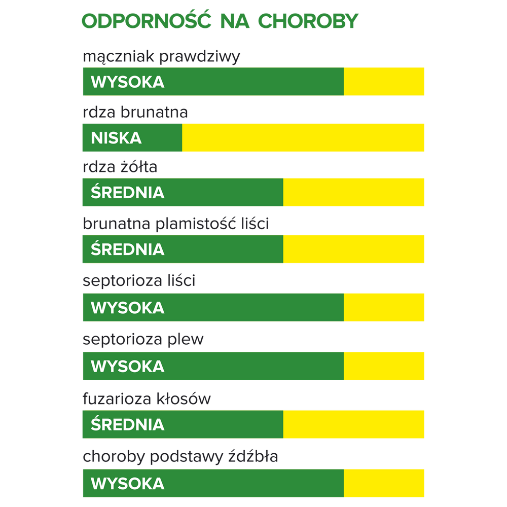 Odmiana pszenicy ozimej Venecja