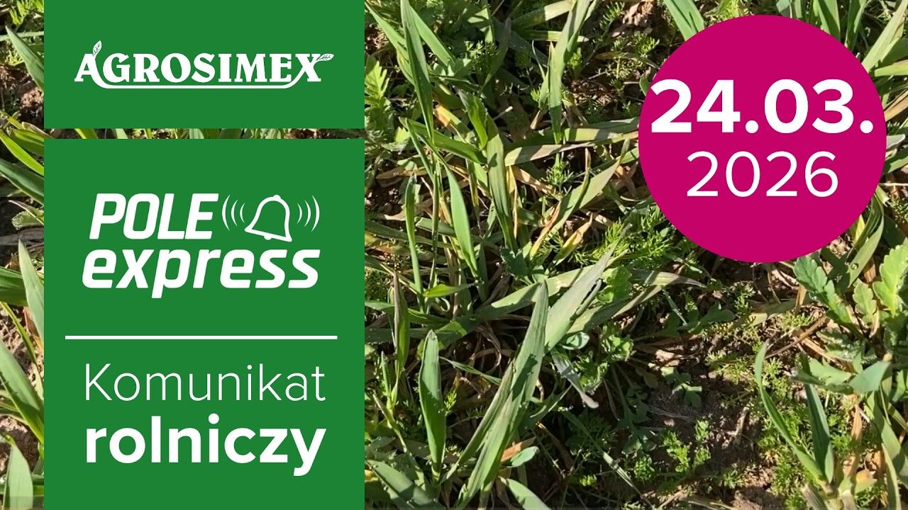Agrosimex