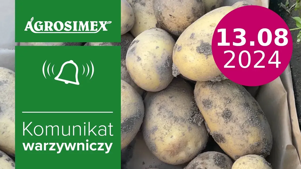Agrosimex