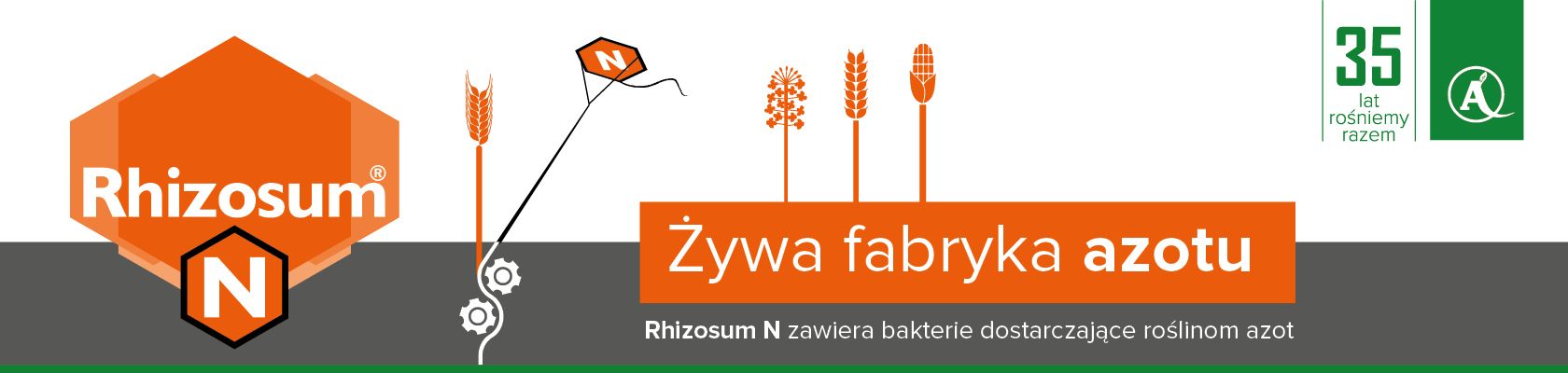 Rhizosum N