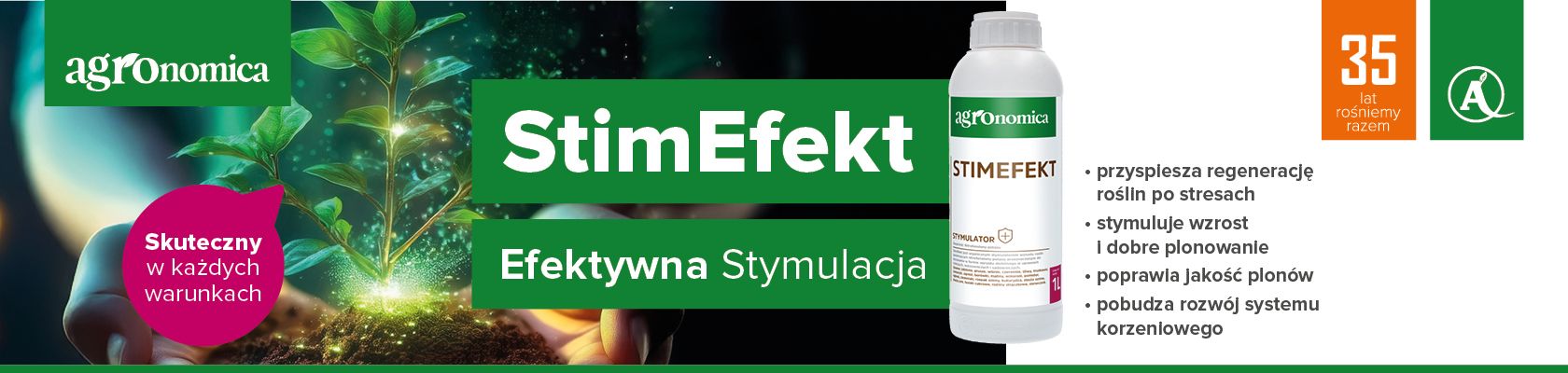StimEfekt