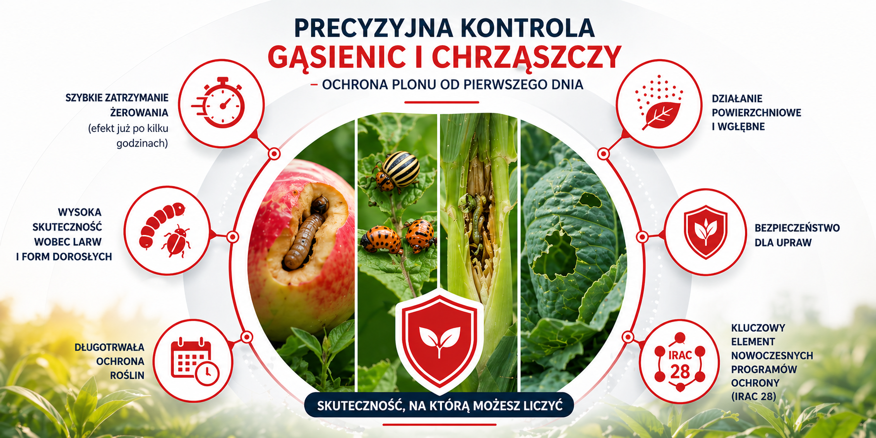 Agrosimex