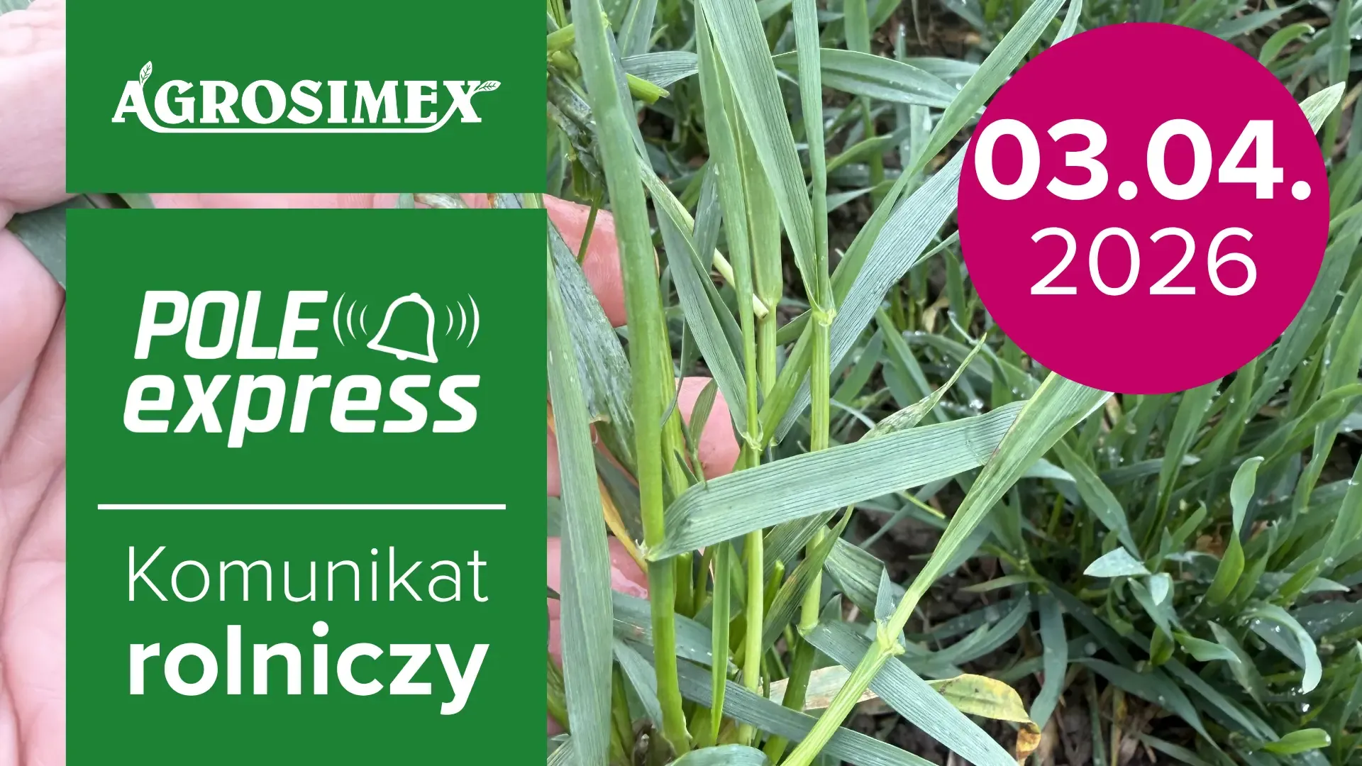 Agrosimex