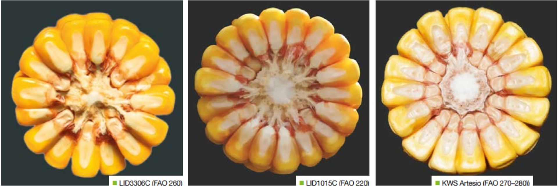 Agrosimex