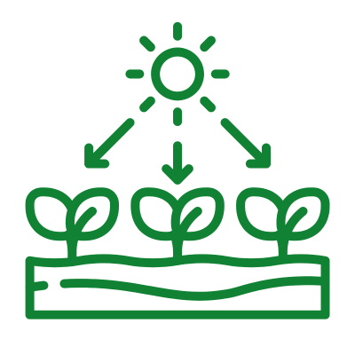 Agrosimex