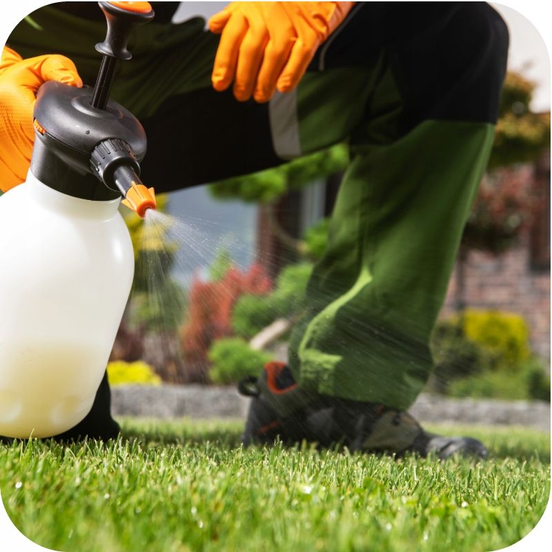 Agrosimex