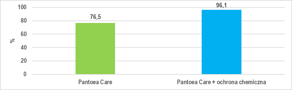 Wyk.1 Winogrona chronione Pantoea Care po 30 dniach przechowywania