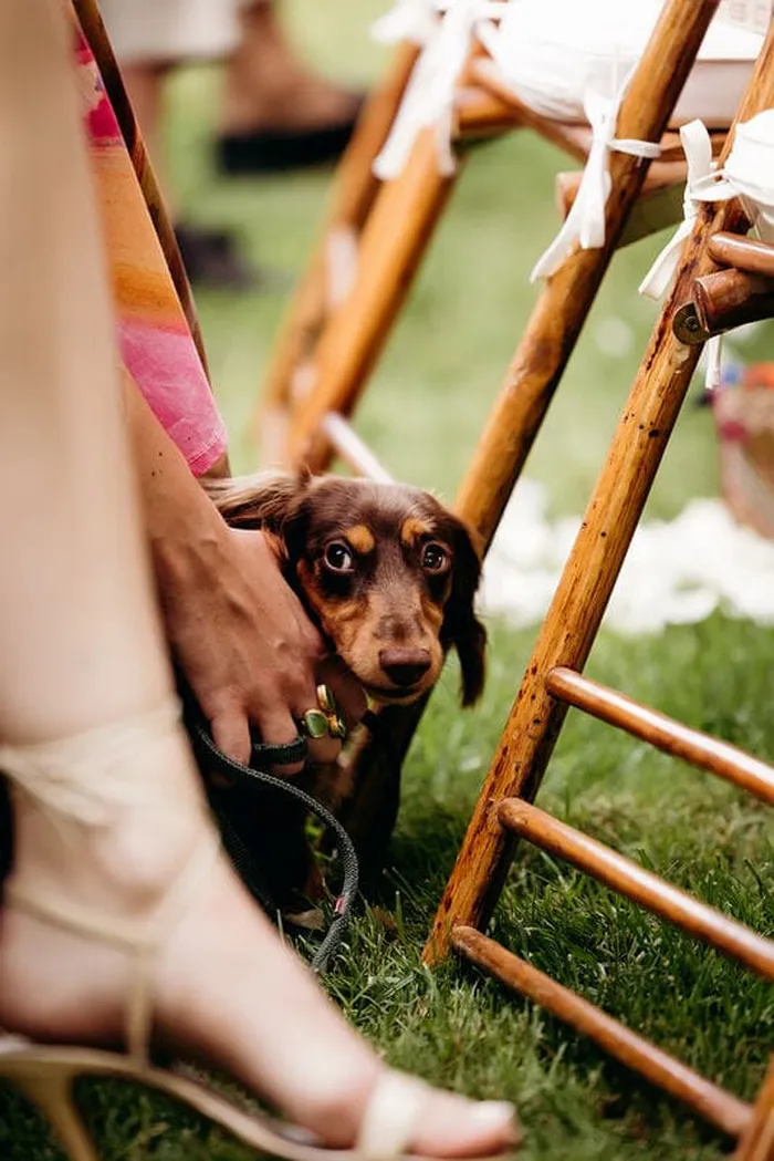 Ibiza finca wedding organized by Bliss Ibiza Wedding Planner