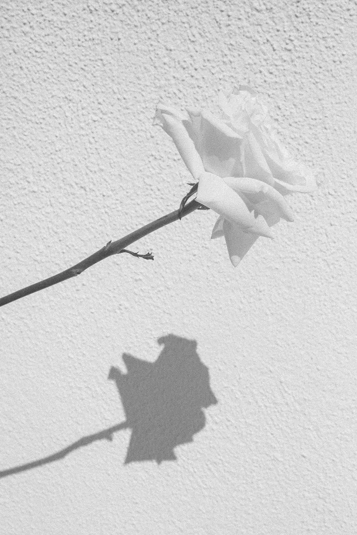 White wedding at Nobu Hotel Ibiza — couple portraits, Ibiza