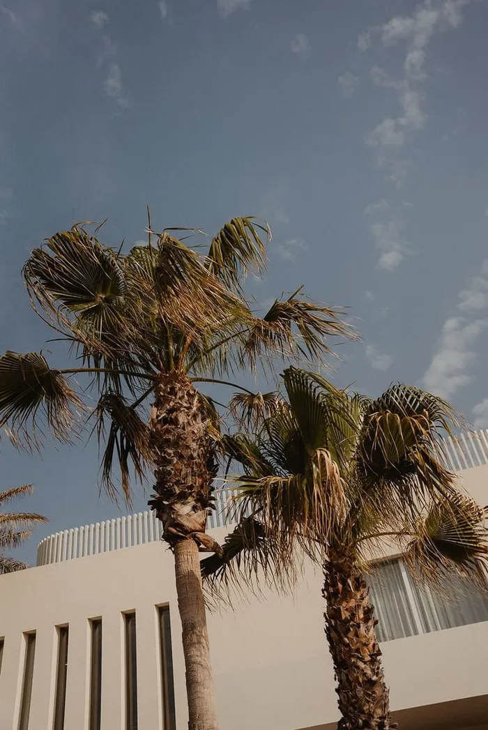 Angelina and William at 7 Pines Ibiza — wedding preparations, Ibiza