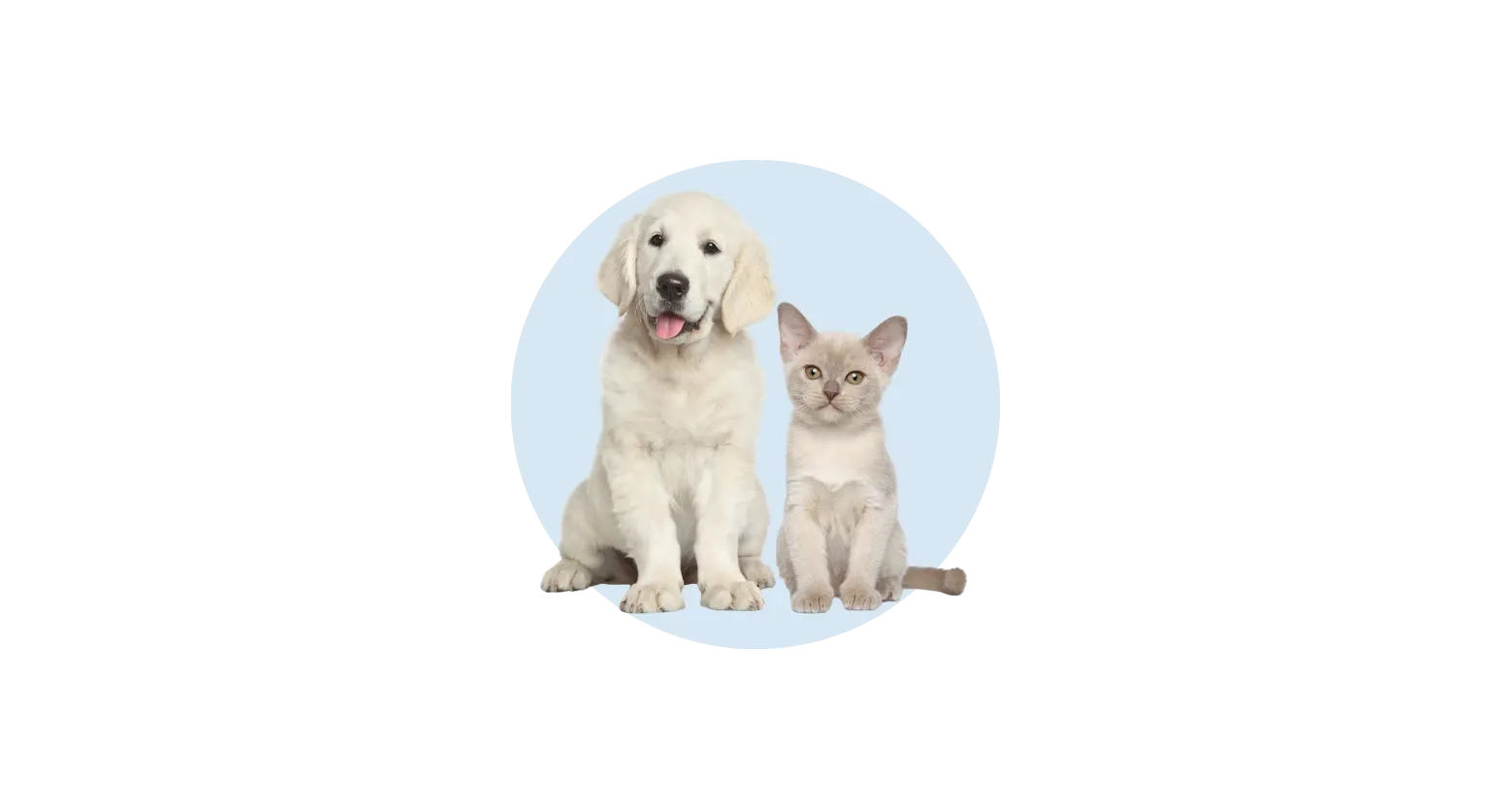 Animais-de-estimação