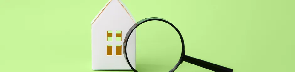 Trocos D'Hoje Habitação 10