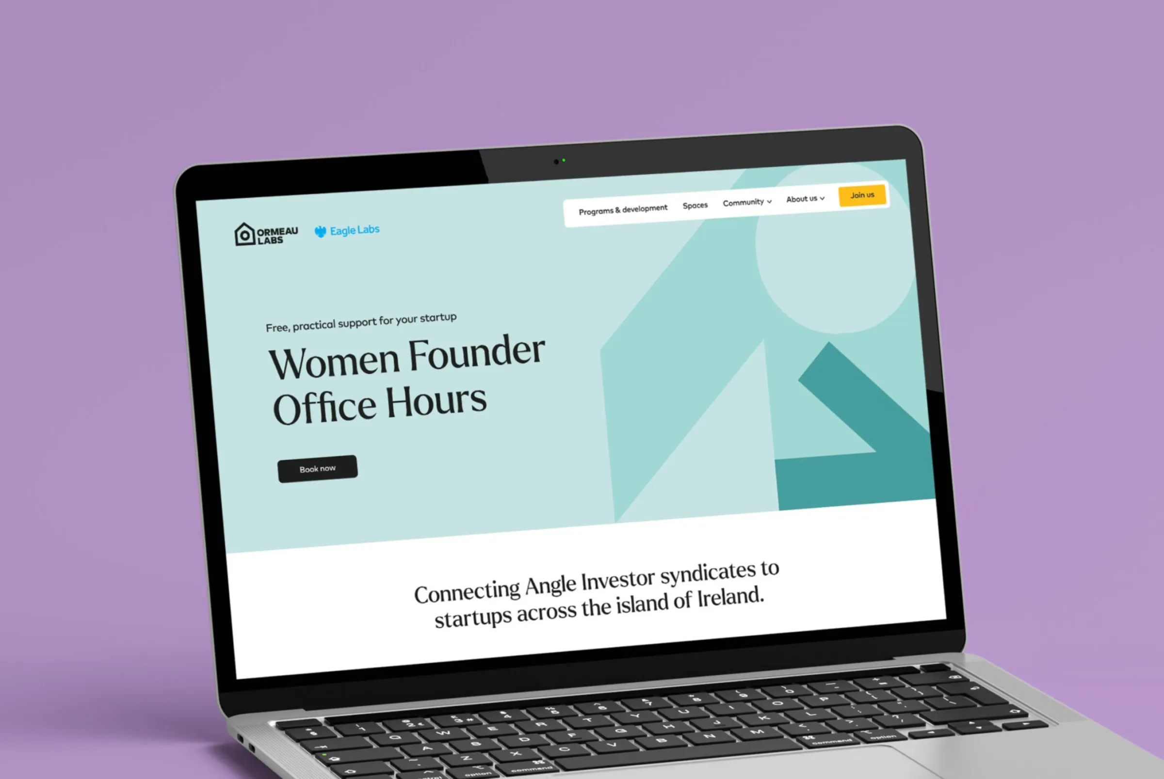 Internal page of the website showing design for the graphic elements