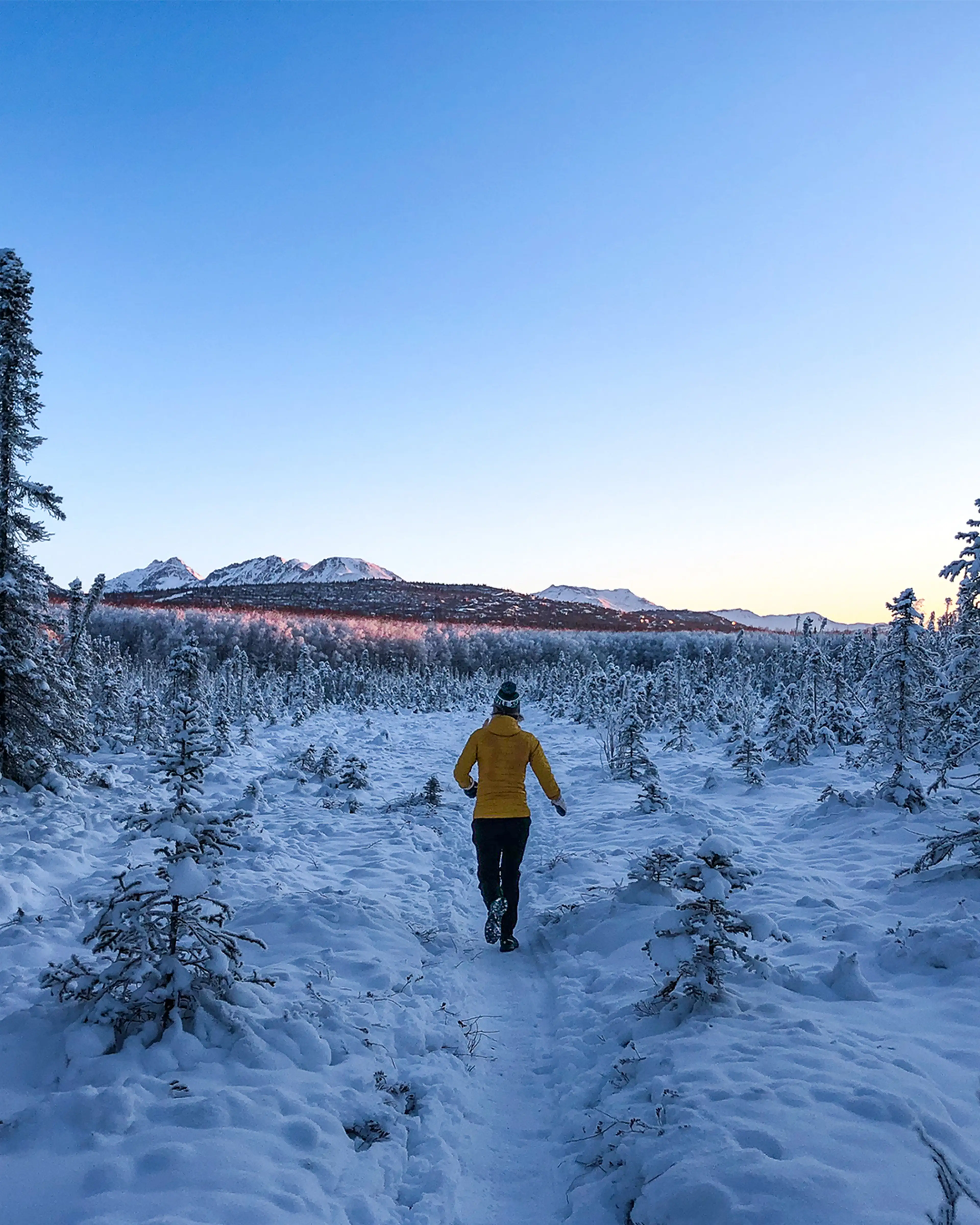 Person in a yellow jacket walking on a snowy path through a forest, with mountains in the background under a clear blue sky.