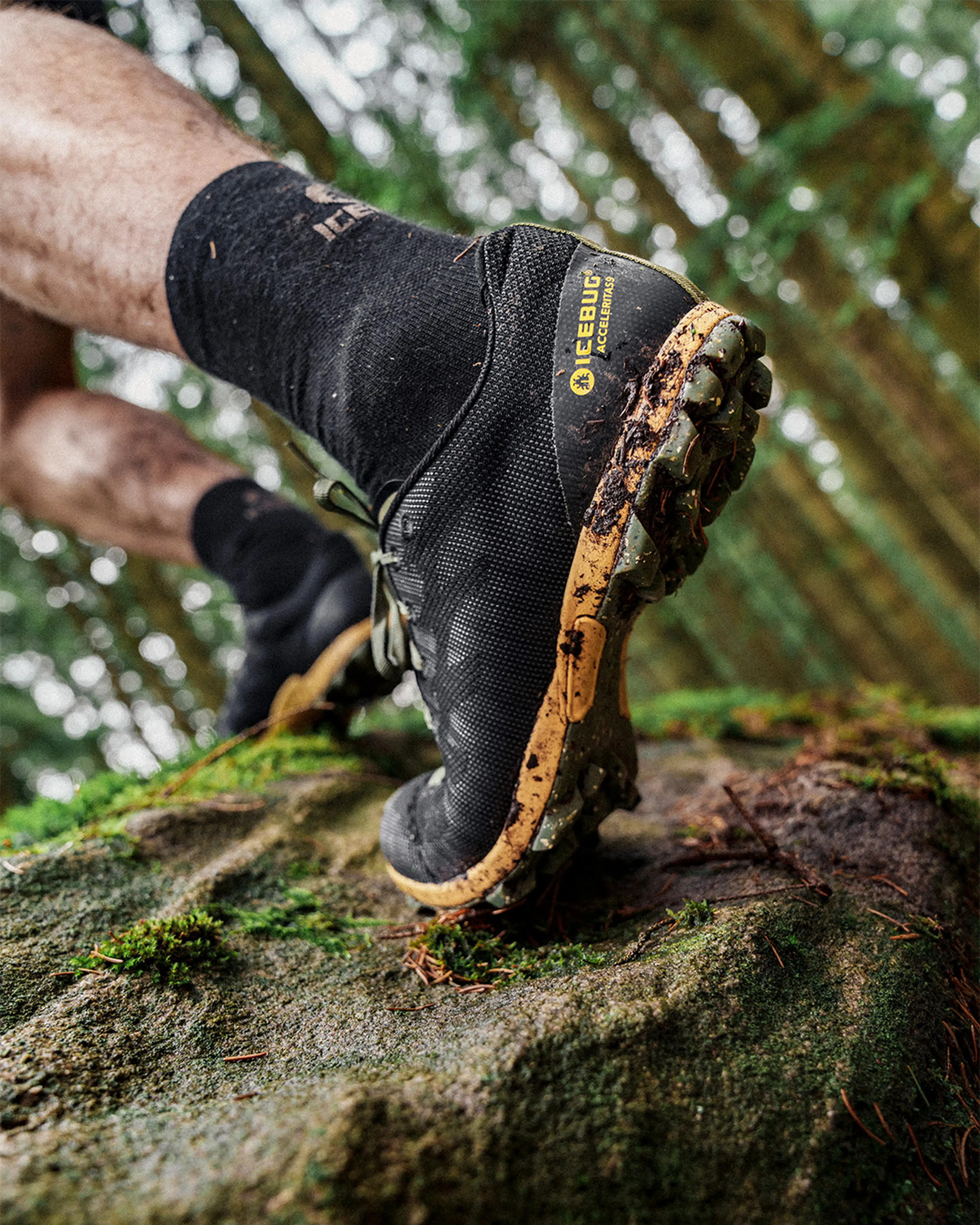 Close-up of a person wearing black trail running shoes from Icebug with visible mud, stepping on a mossy rock in a forest setting.