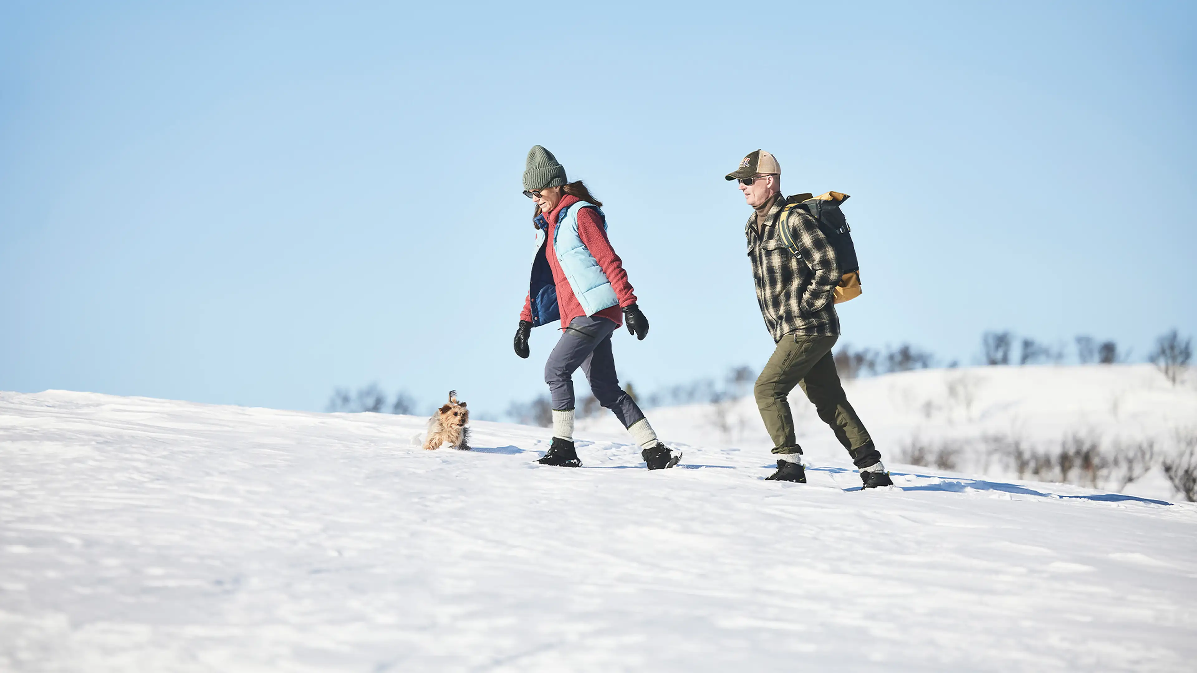 Two people and a small dog hike up a snowy hill under a clear blue sky, dressed in winter clothing and carrying a backpack.