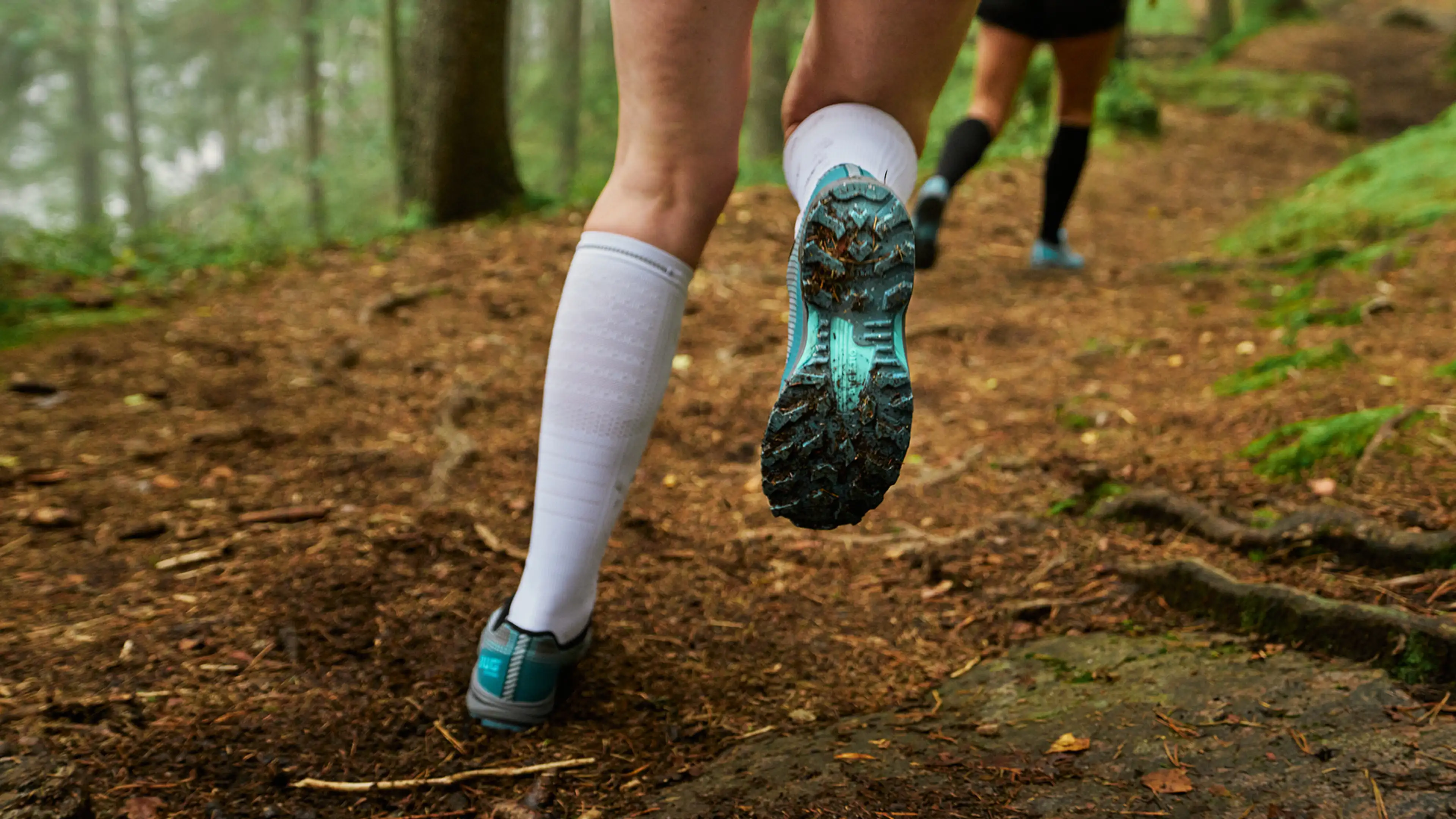 Close-up of two people trail running in a forest, focusing on their legs and shoes, with vibrant green foliage and a dirt path.