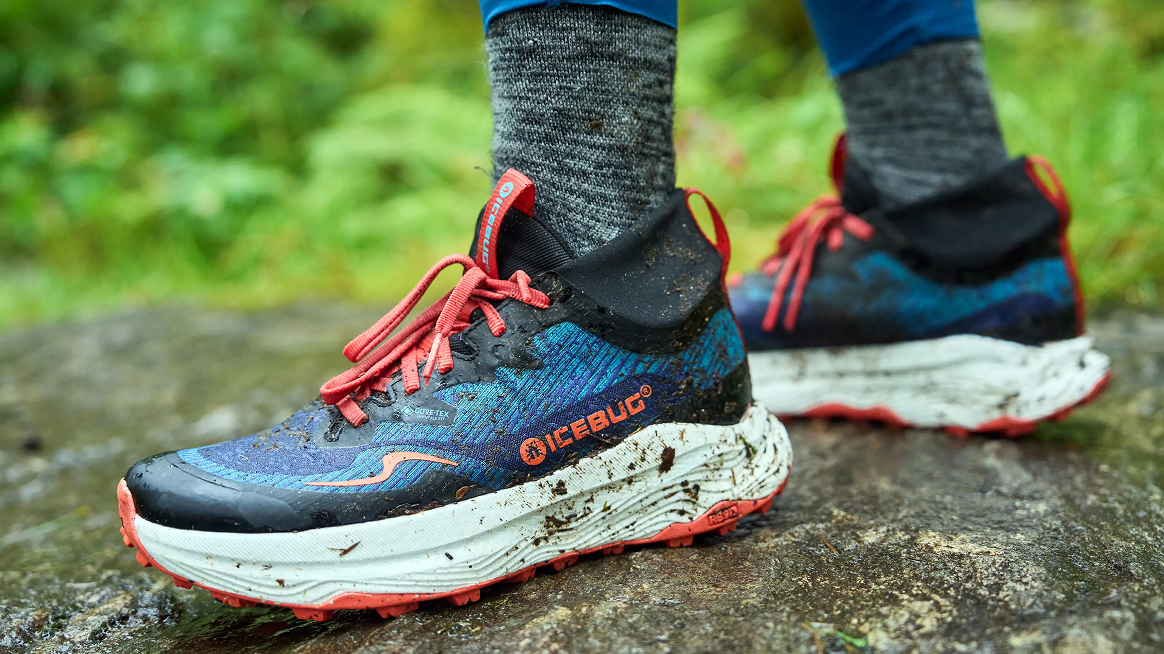 Close-up of a person wearing blue and black Icebug trail running shoes with red laces, standing on a wet rock, surrounded by greenery.