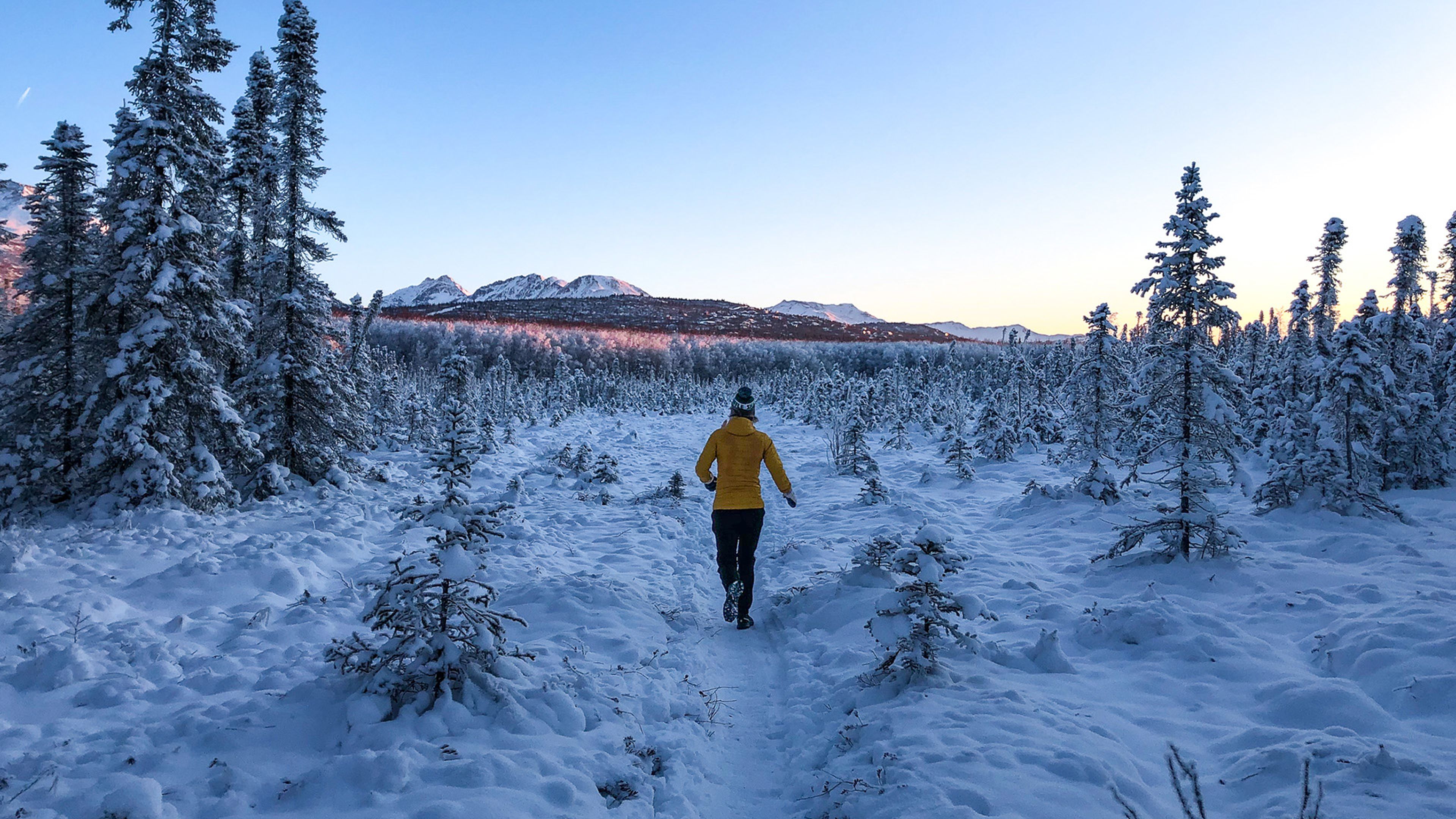 Person in a yellow jacket walking through a snowy forest path, surrounded by snow-covered trees under a clear blue sky.