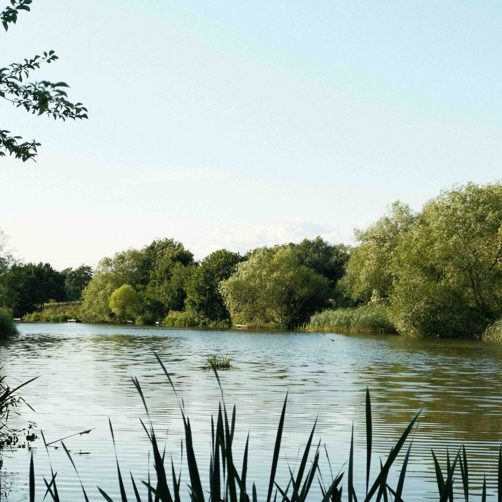Walthamstow wetlands