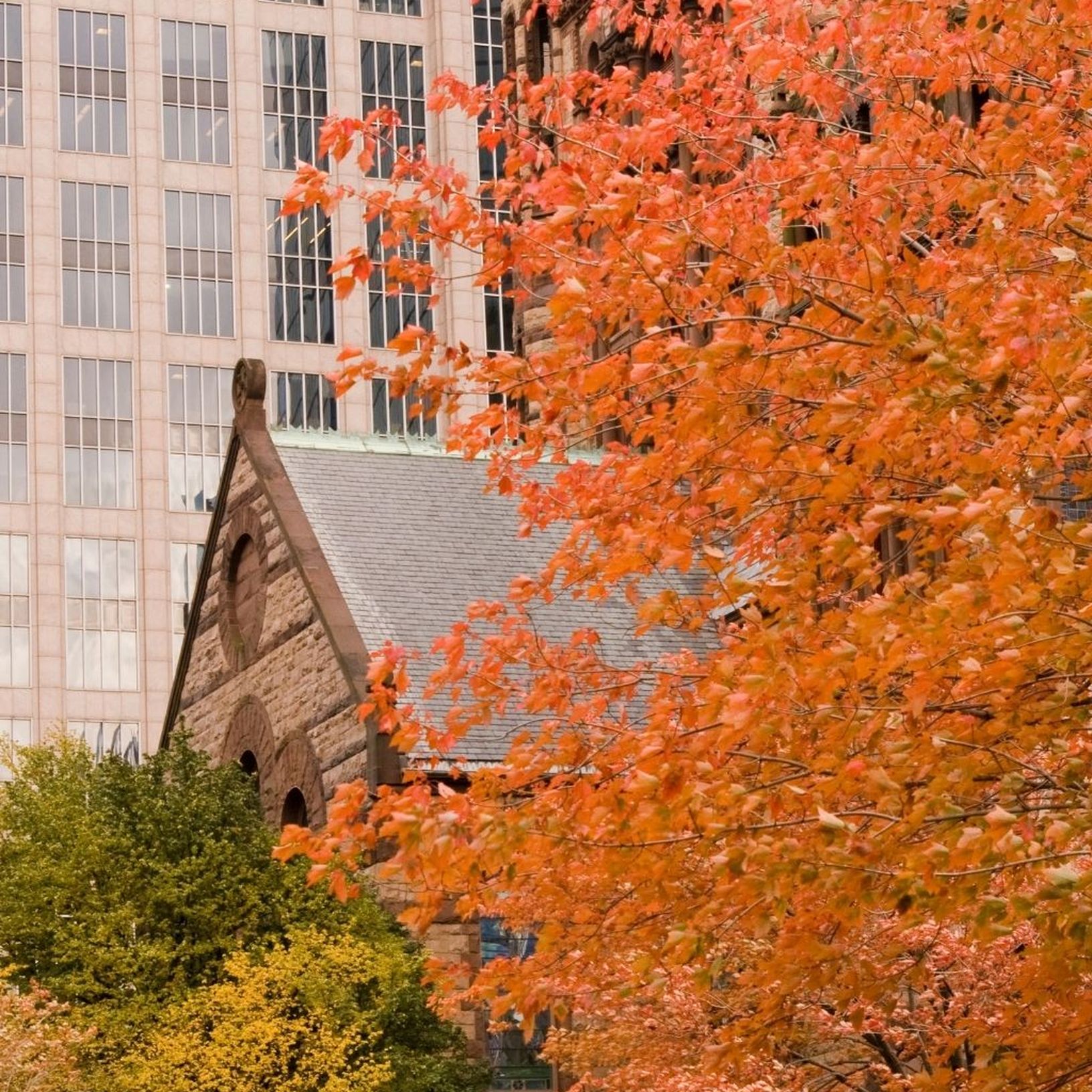 autumn in boston