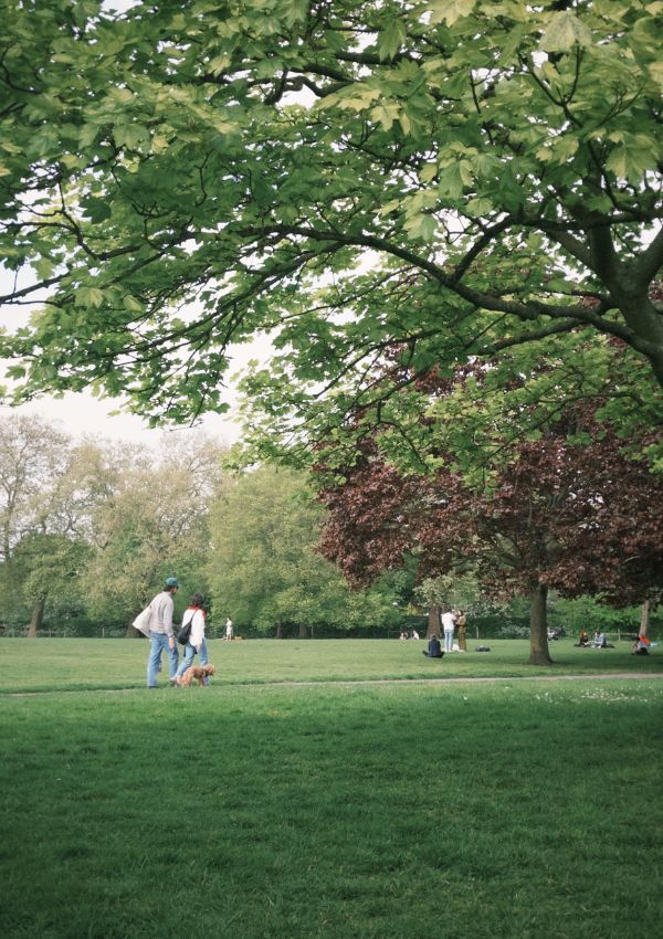 Couple walking a dog in Southwark Park Rotherhithe